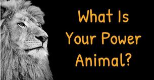 What Is Your Power Animal?