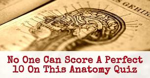 No One Can Score A Perfect 10 On This Impossible Human Anatomy Quiz