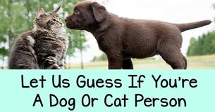 We Can Guess If You're More Of A Cat Person Or A Dog Person With Just 9 Quick Questions 