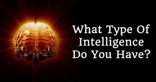 What Type Of Intelligence Do You Have?