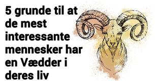 5 grunde til at du burde ha' en Vædder i dit liv