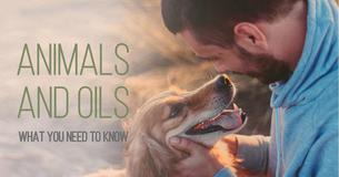 Everything You Ever Need To Know About Animals And Oils