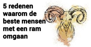 De 5 redenen waarom je een Ram in je leven moet hebben