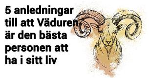 5 anledningar till att du borde ha en Vädur i ditt liv