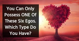 You Can Only Possess ONE Of These Six Egos. Which Type Do You Have?
