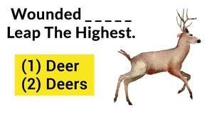 This Plurals Test Is Driving The Internet Crazy.
