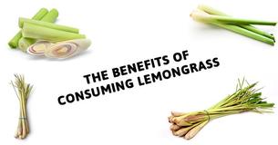 Here Is How Lemongrass Could Do Wonders To Your Body When Consumed
