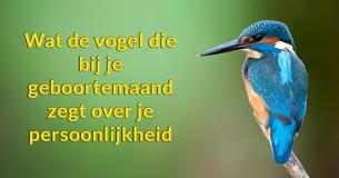 Wat zegt je vogelmaand over wie je echt bent?