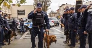 Police Dog Honored By 20 Officers Before She Was Scheduled To Be Put Down Due To Cancer