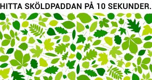 Detta enkla test avslöjar om du är en sann introvert
