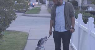 The Moment This Elderly Rescue Dog Looks Up At His Owner Will Bring You To Tears