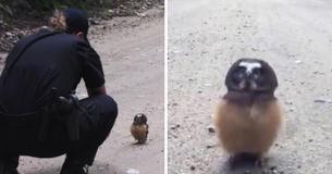 Une policière découvre un bébé hibou et leur adorable conversation fait le buzz