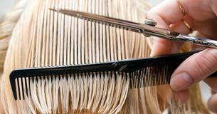 Die Trend-Frisur für 2019: Der Blunt Cut