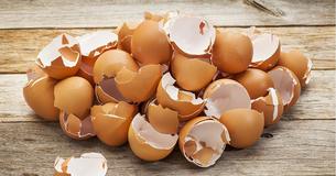 9 Ideen, was man mit Eierschalen noch alles machen kann