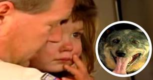3-jarig meisje verdwijnt - 15 uur later wordt ze gevonden met een hond over haar heen gehurkt