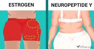 How To Balance Hormones That Make You Hold Extra Weight