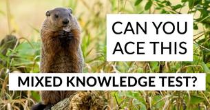 Ace This Mixed Knowledge Test And You're Definitely A Southerner