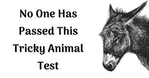Can You Pass The Trickiest Animal Vocabulary Test?