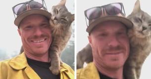 Cat Rescued By Firefighter From California Wildfires Doesn't Want To Leave Sight Of The Brave Man