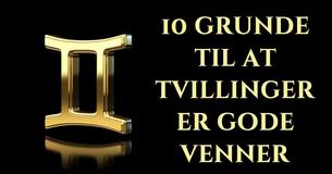 10 grunde til at tvillinger er gode venner