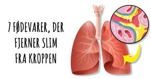Spis disse 7 fødevarer for at fjerne slim fra kroppen