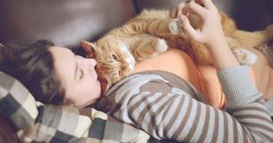 10 Zeichen, dass Dich Deine Katze wirklich liebt