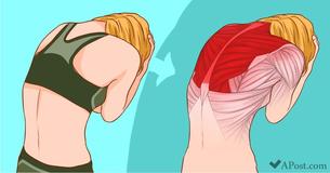 18 Images That Will Show You The Exact Muscles You Use When You Stretch