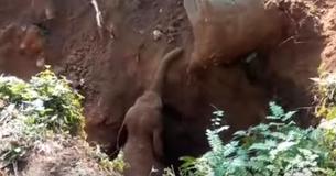 Mutter des Baby Elefanten bedankt sich bei Arbeitern mit einem unvergesslichem Gruß, nachdem das Kalb gerettet wurde