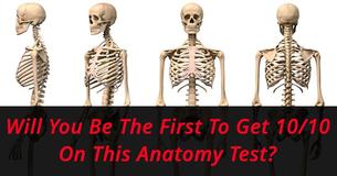 Literally Zero People Can Get 10/10 On This Anatomy Test. Prove Us Wrong?