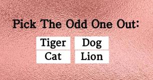 No One Can Score 10/15 In This IQ Test And It's Driving The Internet Wild