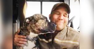 Shelter Dog Jumps Into UPS Driver’s Truck, And The Dog’s Life Immediately Changes Forever