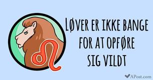 14 ting, der gør Løven til det allerbedste stjernetegn