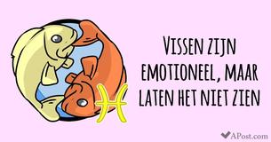 11 dingen waarom Vissen het beste sterrenbeeld is