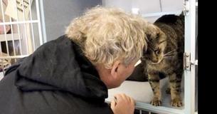 Woman Finds Her Missing Cat Of 2 Years On A Shelter's Social Media Page