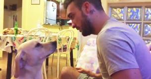 Un homme gronde son chien pour une bêtise qu'il a commise, mais il ne peut s'empêcher de lui pardonner après que le chien se soit 'excusé' avec beaucoup d'insistance et de sincérité