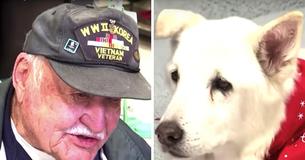 93-Years-Old War Veteran Adopts 13-Year-Old Dog Who Was Going To Be Put Down