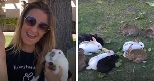 Woman Discovers A Field With More Than A 'Thousand' Abandoned Bunnies And Steps Up To Save All Of Them
