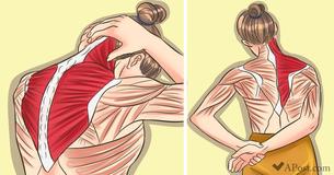 11 Stretching Exercises To Release Upper Back Tension