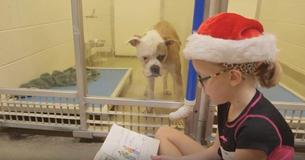 When Kids Read To Shelter Dogs, Both The Animals And The Kids Experience Benefits