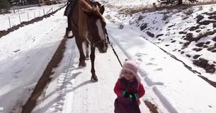 This Horse And Toddler Have The Most Heartwarming Bond Ever