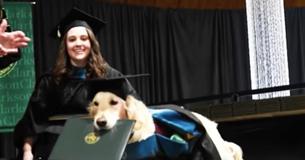 This Service Dog Gets Honorary Diploma After Owner Gets Her Degree