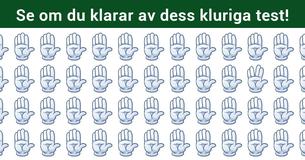 Ingen har lyckats lösa detta - Se om du kan hitta den som är annorlunda vid första anblicken 