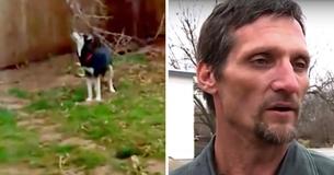 Un homme reçoit un message 6 ans après le vol de son chien dans la cour arrière . Cela lui fait avoir la chair de poule.