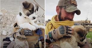 Cet enregistrement du soldat se réunissant avec le chiot qu'il a sauvé dans une zone de guerre il y a des mois, fait fondre les coeurs sur Internet