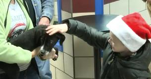 Little Boy Donates All His Piggy Bank Savings To Help Homeless Pets