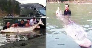 Tiener doet held na wanneer hij dinosaurusachtige vis van 3 meter vangt in het plaatselijke meer