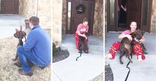 Girl Volunteers At Shelter To Care For Dog Then Parents Have Secretly Adopted Dog She Loves