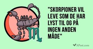 14 grunde til, at Skorpionen er det bedste stjernetegn