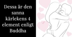 Enligt Buddha består äkta kärlek av dessa 4 element