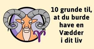 10 grunde til at Vædderen er de bedste mennesker i dit liv